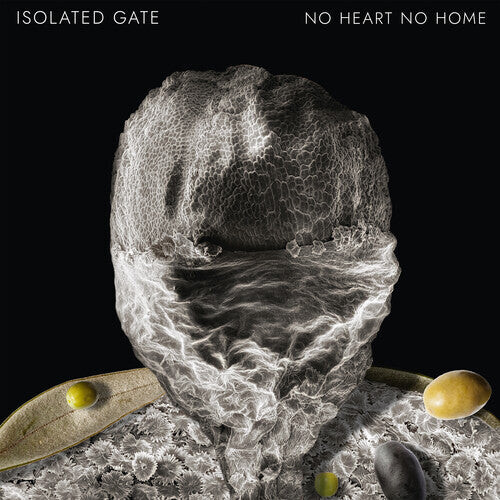 

Сингл 12" Isolated Gate: No Heart No Home