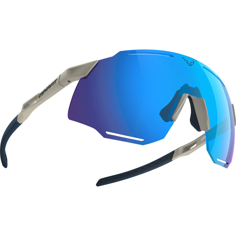 

Спортивные очки Alpine Evo 3 Dynafit, белый