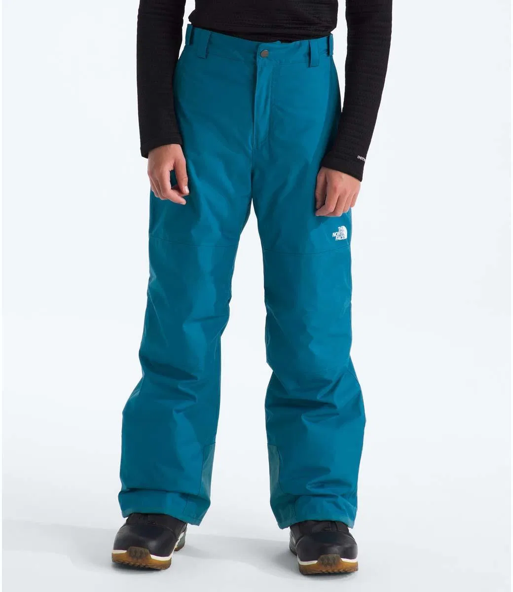 Утепленные брюки Freedom Insulated Pant The North Face, Dusk Blue