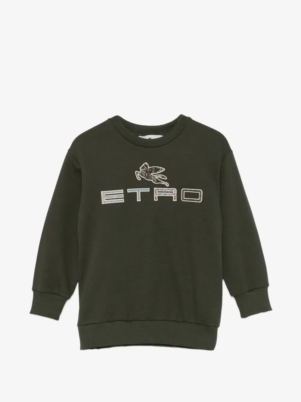 Толстовка с вышивкой логотипа Pegaso ETRO KIDS, зеленый