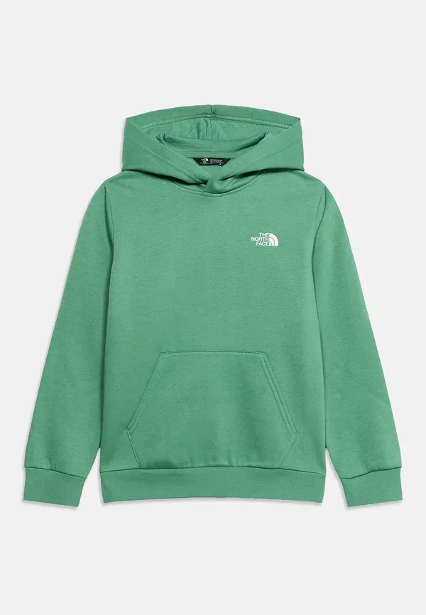 Худи влагоотводящее Teen Evolution Simple Dome Pullover The North Face, Light Green, светло-зеленый — фото 3