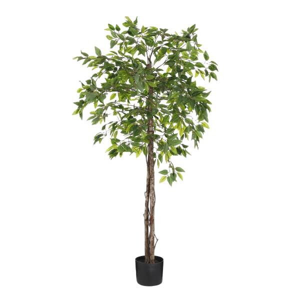 

Декоративное растение Mica Decorations Ficus, зеленый