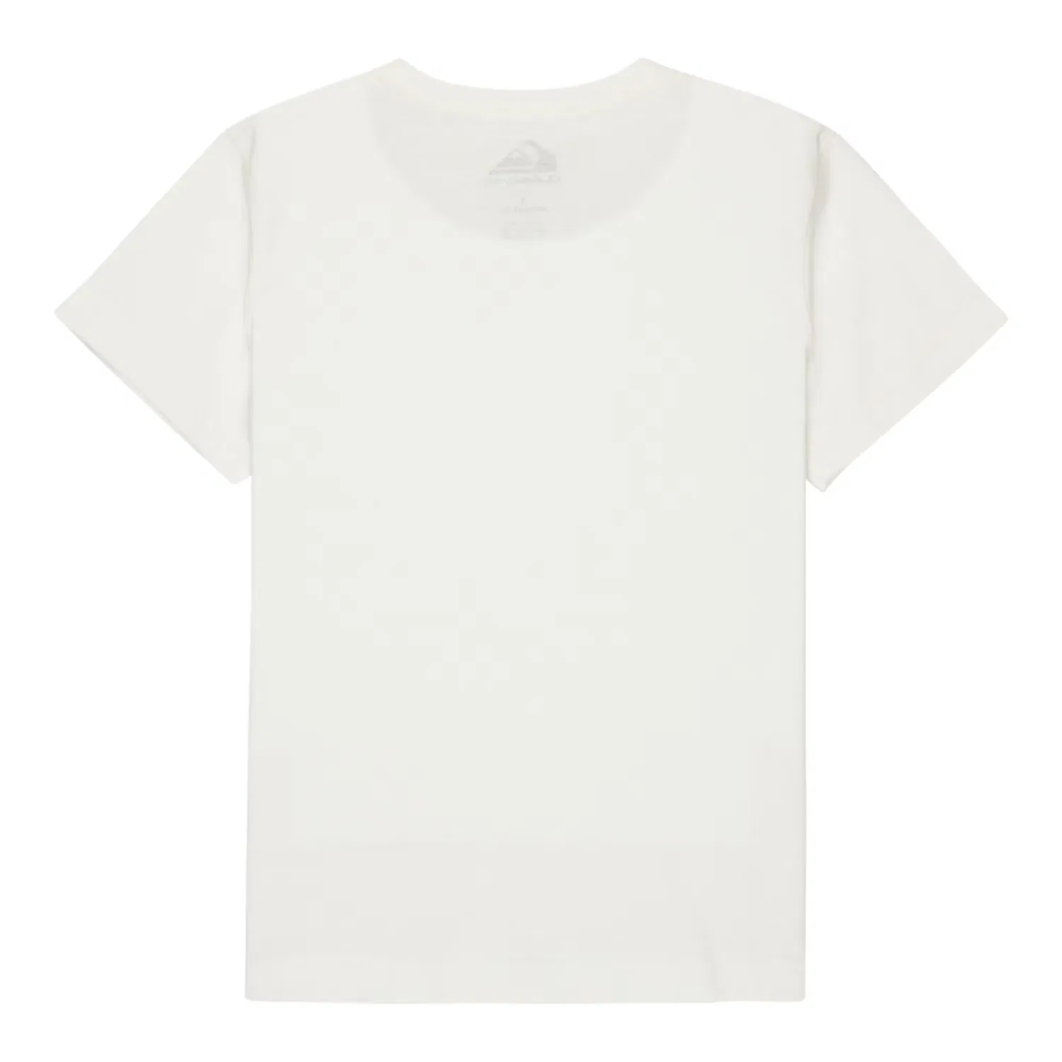 Детская футболка для мальчиков с принтом Ev Starfish Stamp Quiksilver, Blanco — фото 2