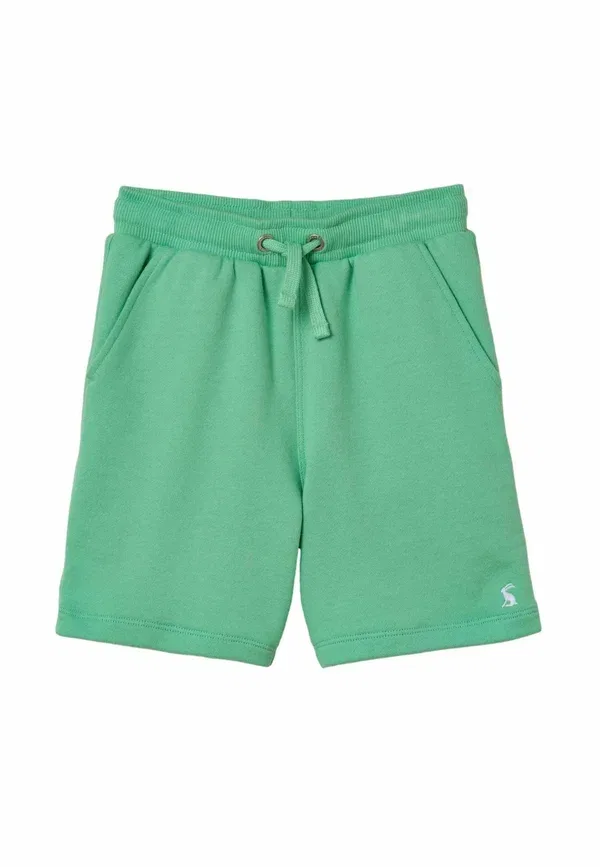 Спортивные брюки Joules, зеленый