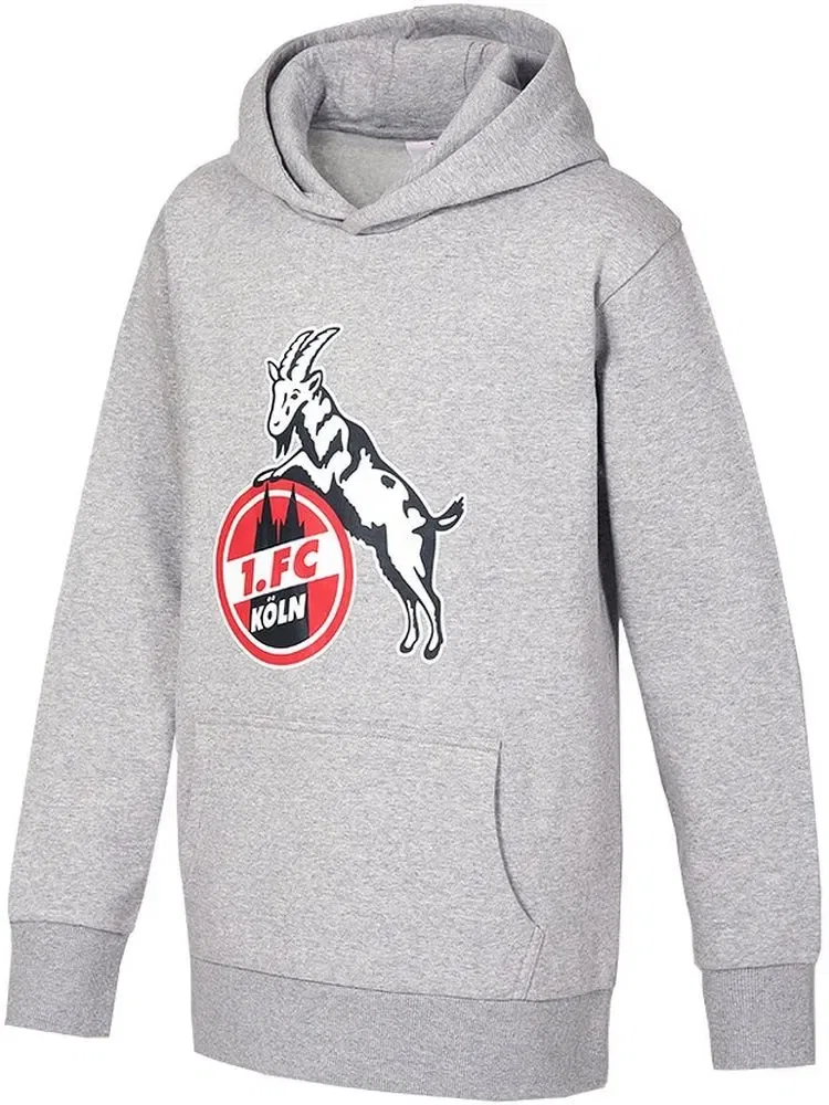 Худи детское с капюшоном Hoodie Basic Fußballverein 1. Fc Köln, серый