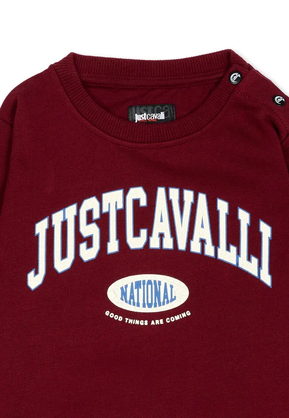 Фелпа - толстовка Just Cavalli, Bordeaux — фото 3
