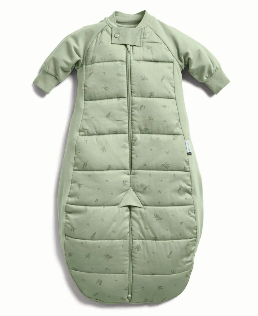 Спальный мешок для мальчиков и девочек 2,5 TOG ErgoPouch, Willow