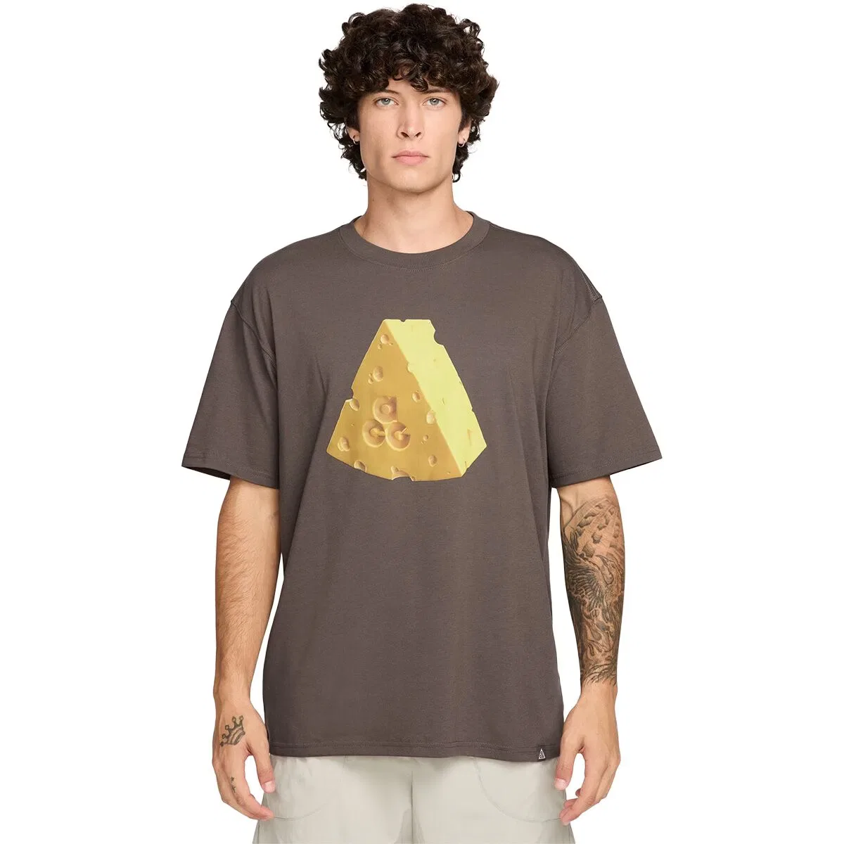 Мужская футболка с принтом Acg Dri-Fit Camp Cheese Nike, Ironstone