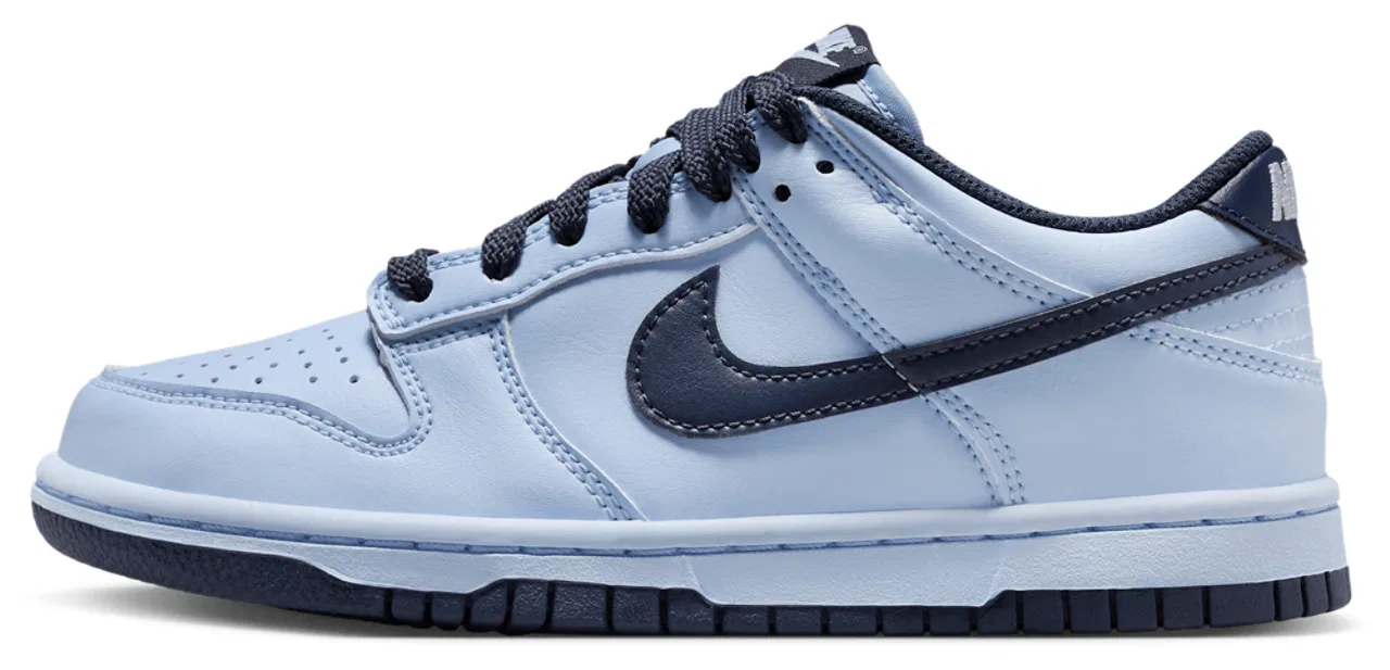 Кроссовки для мальчиков Dunk Low Lv8 2 Nike, цвет Hydrogen Blue/Hydrogen Blue/Thunder Blue — фото 2