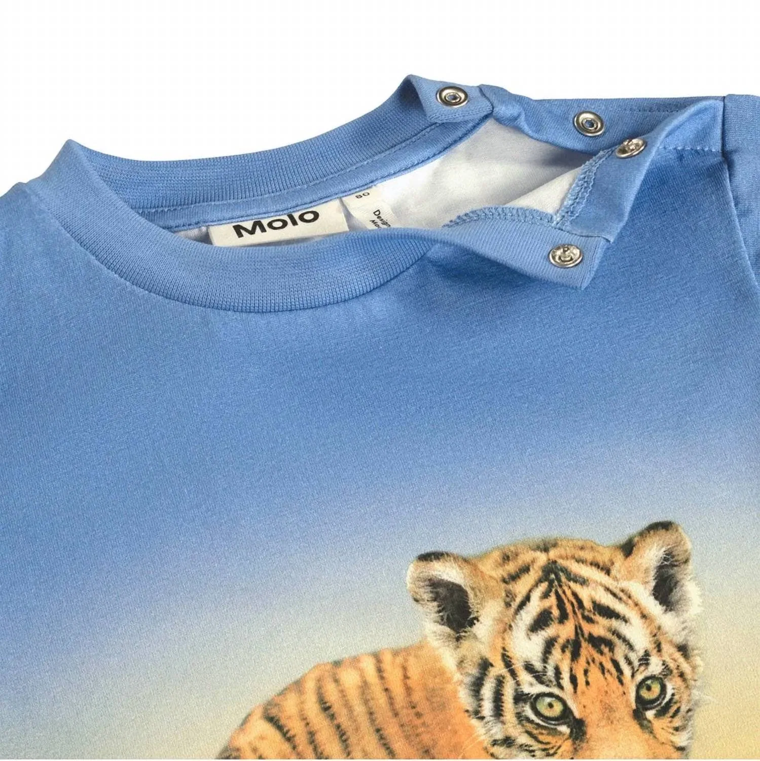 Детская футболка для мальчиков с коротким рукавом Enzo Tiger Cub Molo, Tiger Cub — фото 3