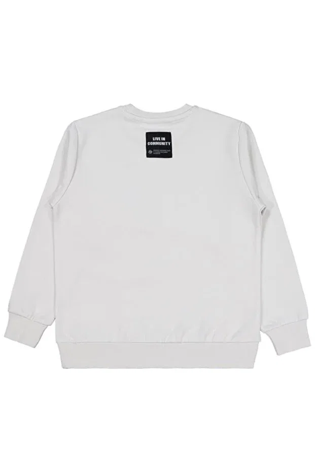 Детские свитшот для мальчиков серый Civil Boys, Light Gray — фото 2