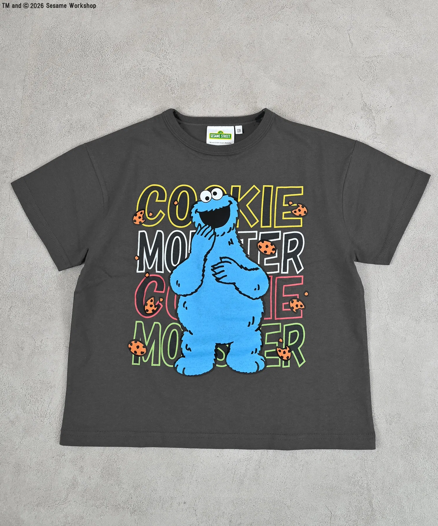 Детская футболка с принтом Sesame Street MARKEY'S серая — фото 3