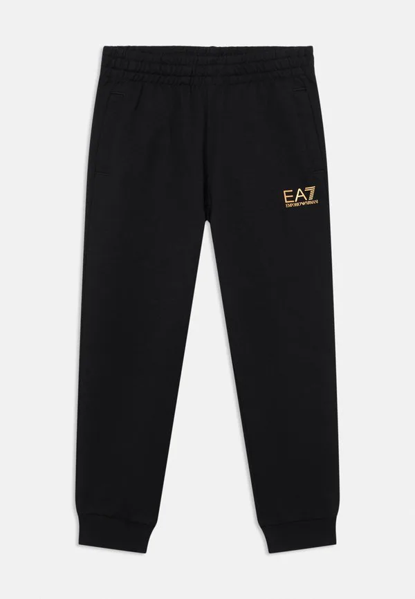 Спортивные штаны унисекс Ea7 Emporio Armani, Black /Gold Coloured — фото 3