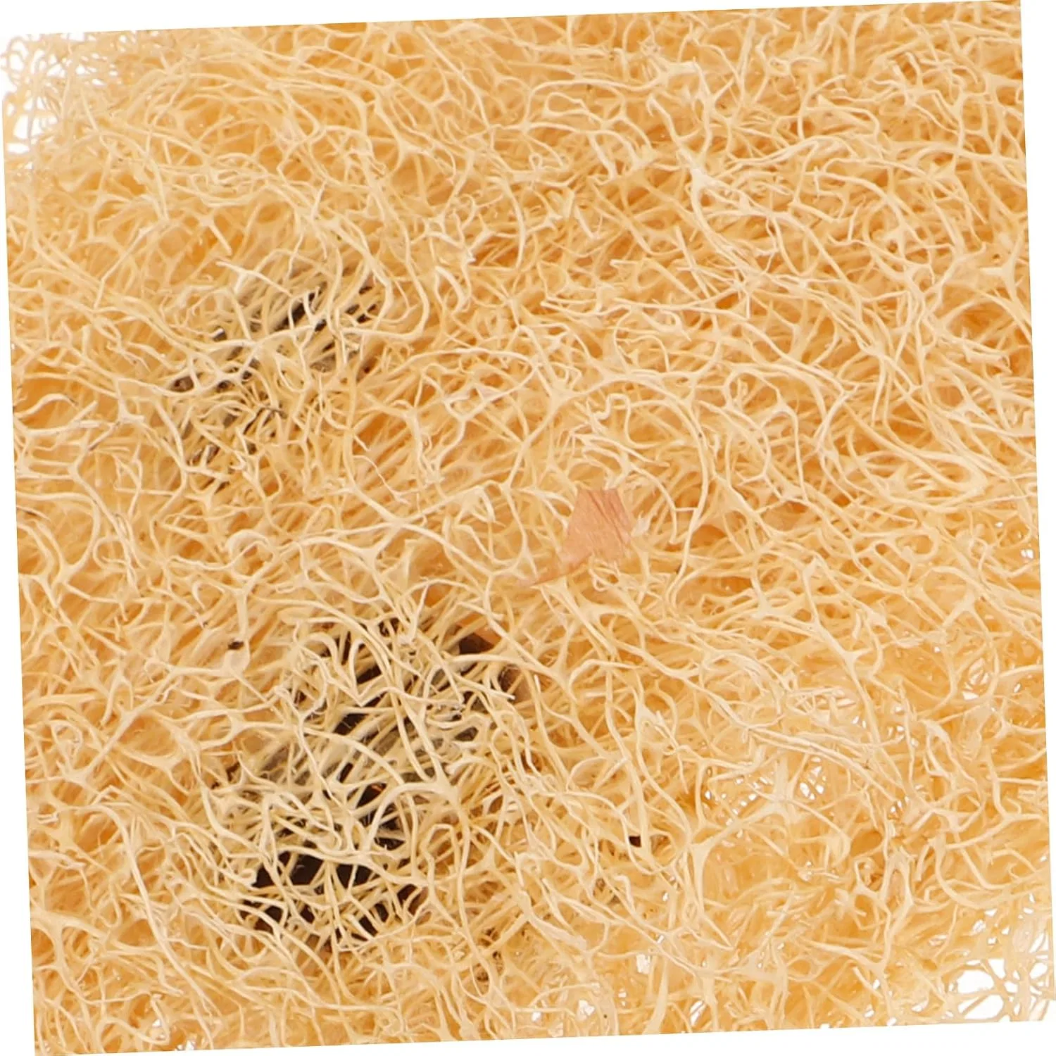 Люфа для тела с ручкой, SOPOTUTU, 35x8x2.5 см, Beige — фото 3