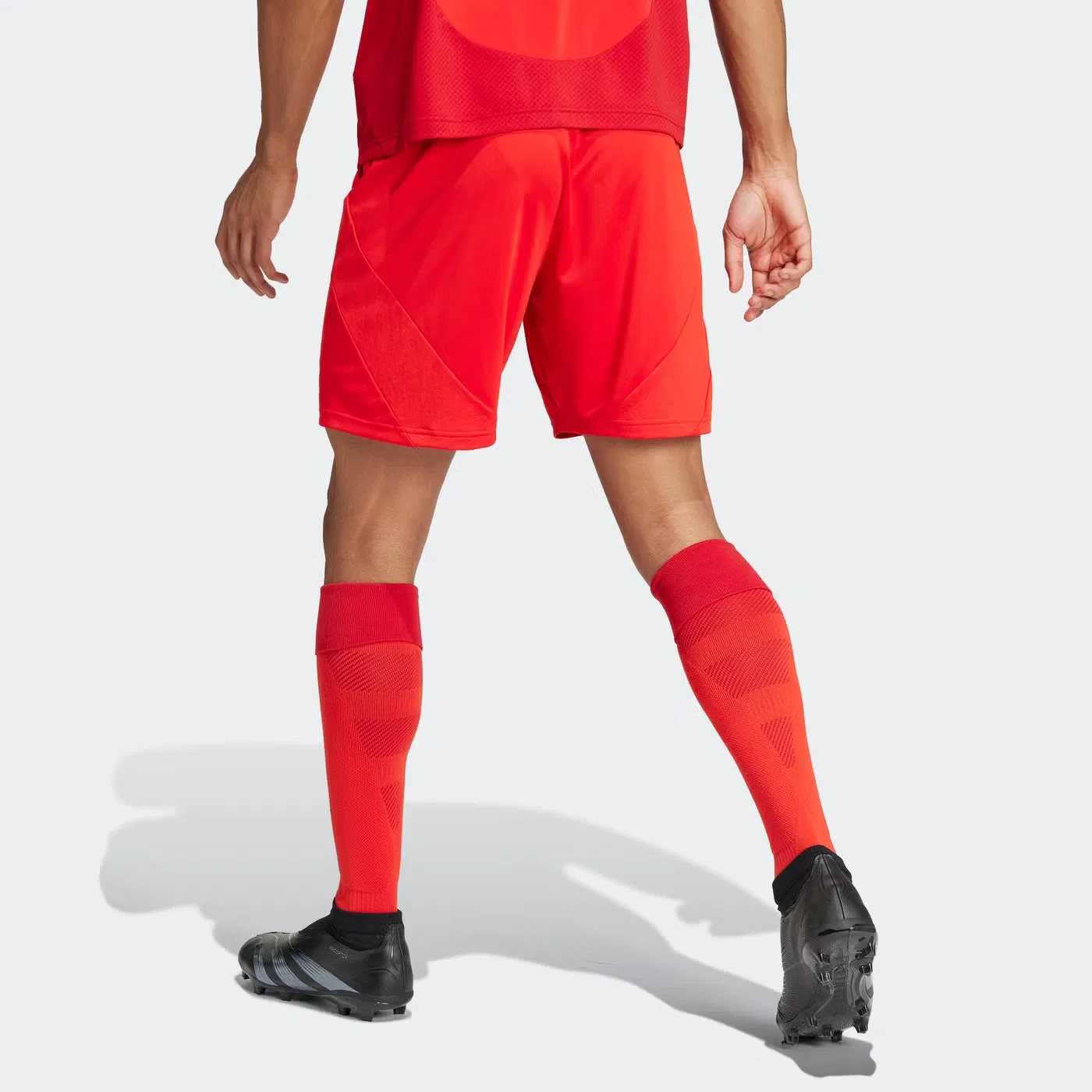 Шорты футбольные с логотипом Fc Bayern Munich 2024/2025 Adidas — фото 2