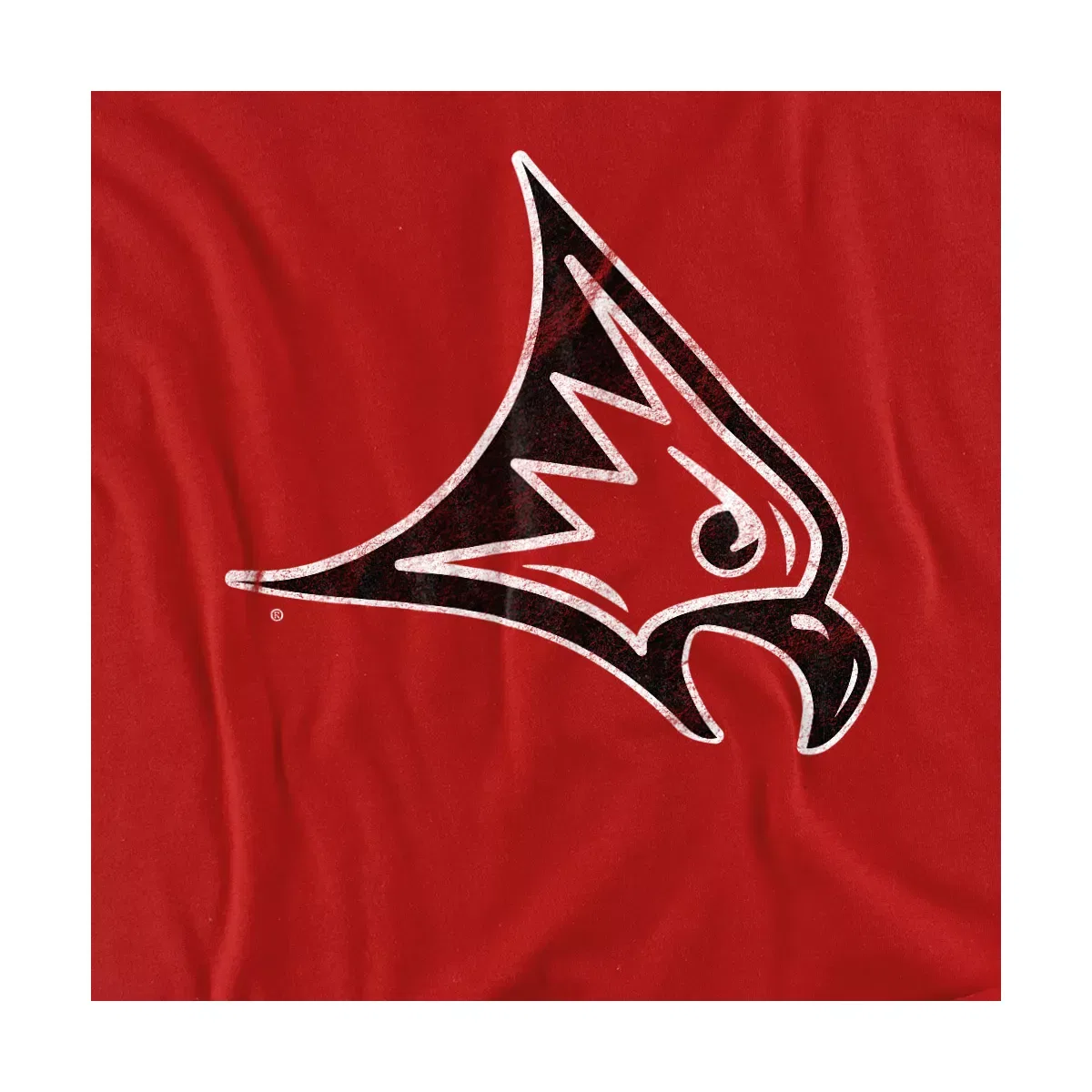 Детская футболка с принтом University Of Wisconsin River Falls Distressed Primary Logo NCAA, Red — фото 2