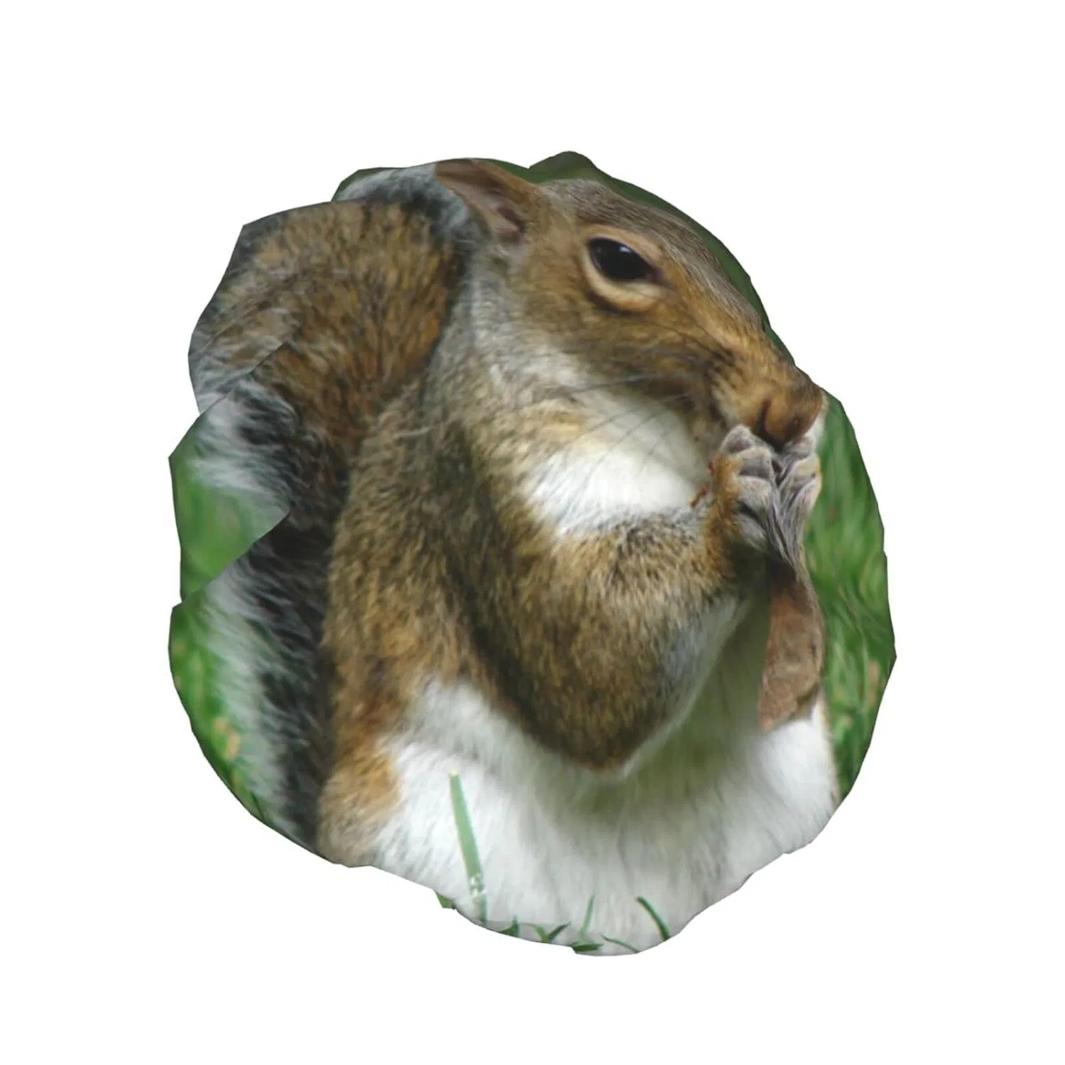 Шапочка для душа Squirrel Print, VUCEMI, 1 шт, черный — фото 2