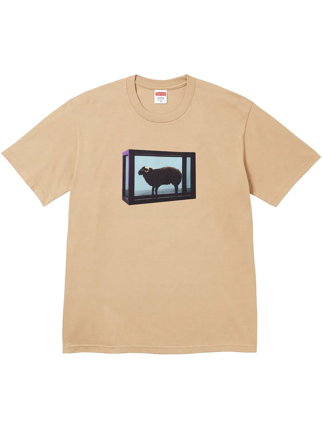 Футболка x Damien Hirst Supreme, хаки