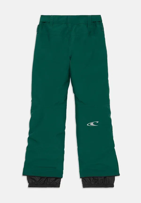 Брюки утепленные Unisex - slidinejimo kelnes O'Neill, Emerald Envy, изумрудный — фото 2