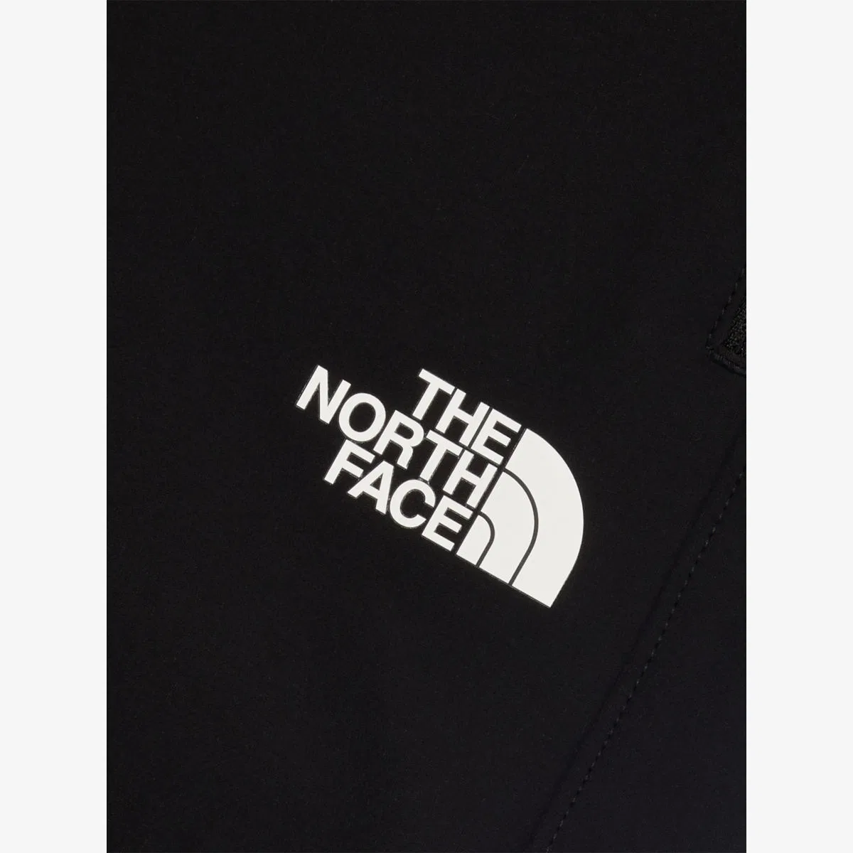 Софтшелл-брюки с принтом бренда perlino The North Face, черный — фото 2