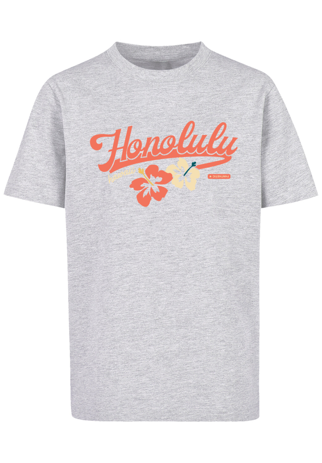 

Футболка F4NT4STIC Honolulu, цвет grau meliert