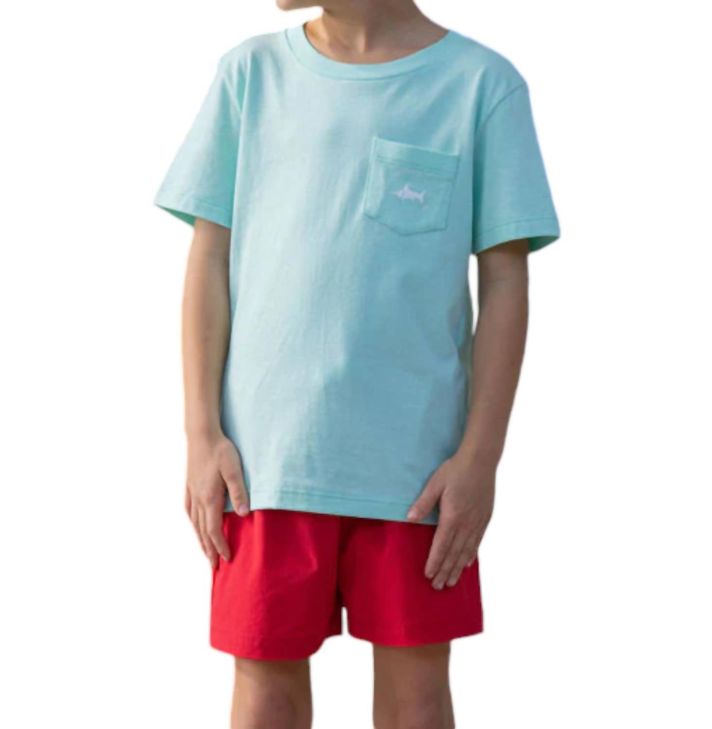 

Футболка Snapper Pocket цвета мяты Saltwater Boys Co., цвет mint