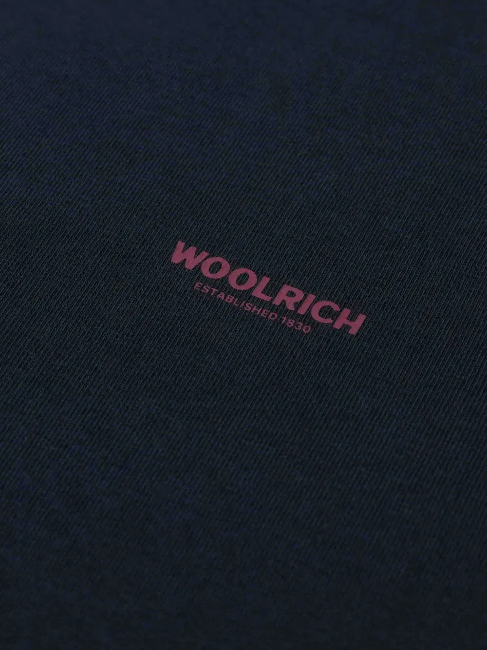Футболка с логотипом Woolrich Kids, синий — фото 2