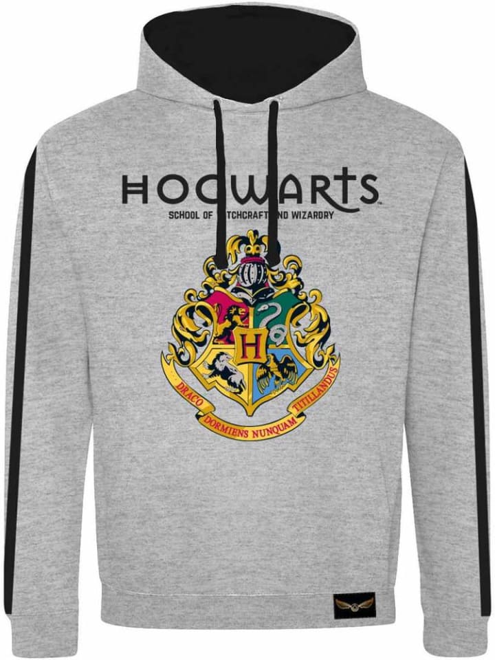 

Толстовка Harry Potter, серый
