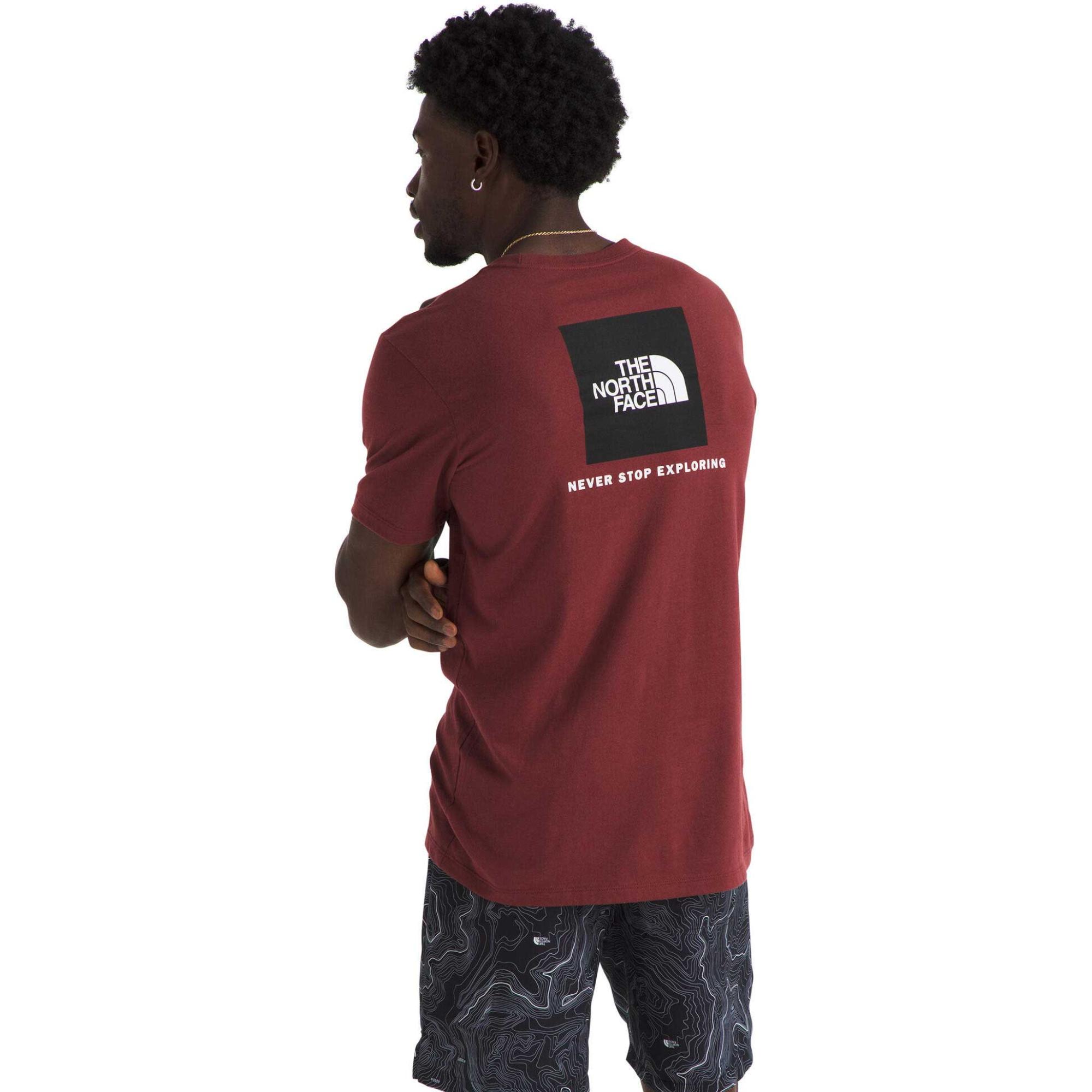 

Мужская футболка с коротким рукавом Evolution Box NSE The North Face, Sumac