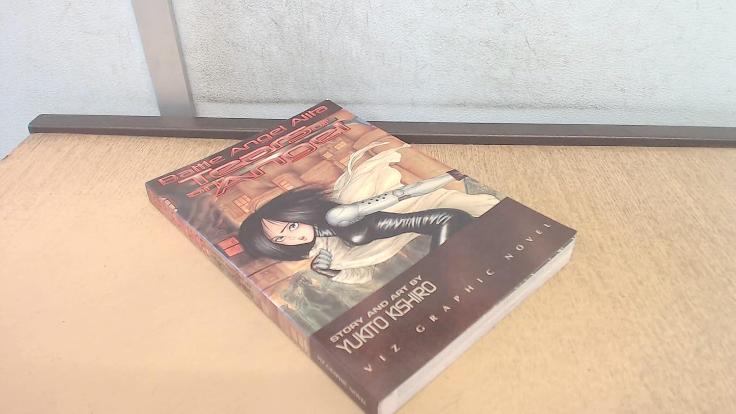 

Battle Angel Alita, Vol. 2: Tears of an Angel (Viz Graphic Novel) (VIZ Media LLC)