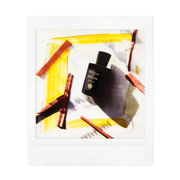 Парфюмированная вода Sandalo Acqua Di Parma, 180 ml — фото 4