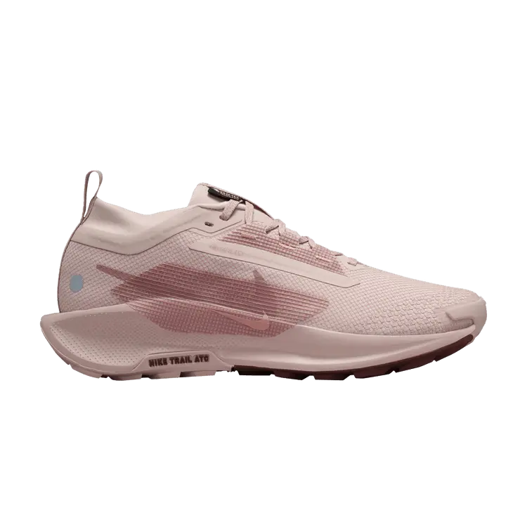 

Кроссовки Nike Wmns Pegasus Trail 5 GORE-TEX Pink Oxford, розовый