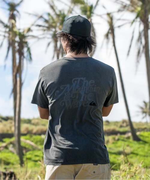 

Футболка с коротким рукавом, принт на спине Quiksilver