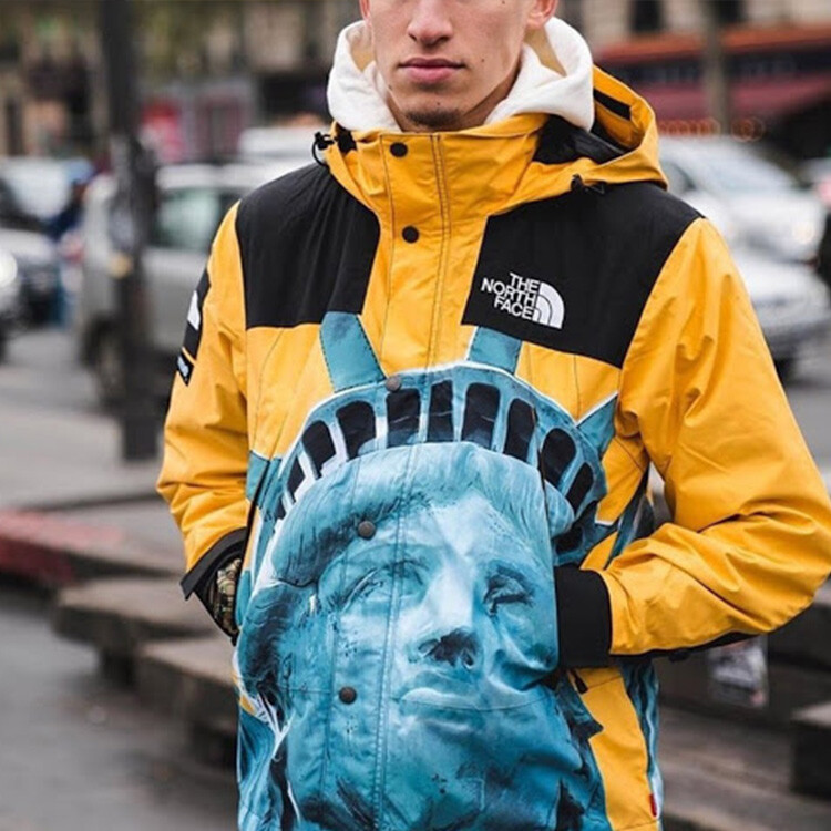 Куртка North Face X Tnf Joint Series Outdoor унисекс Supreme — фото 4