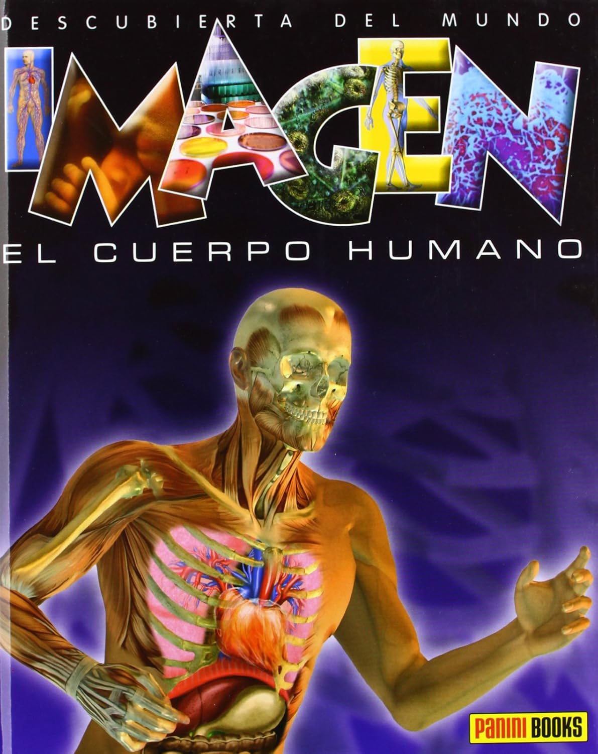 

EL CUERPO HUMANO ( IMAGEN) (PANINI BOOKS)