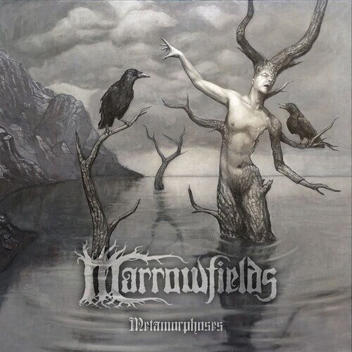 

CD диск Marrowfields: Metamorphoses