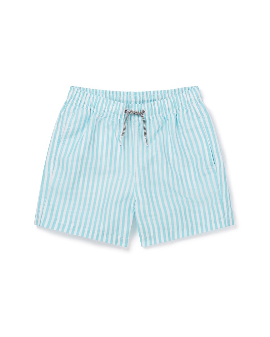 

Шорты для плавания Boardies Deck Stripe Boardies, цвет multi