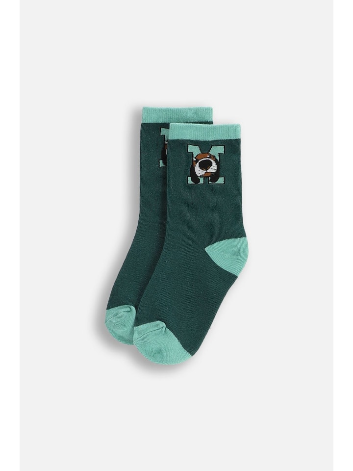 

Coccodrillo Носки зеленого цвета