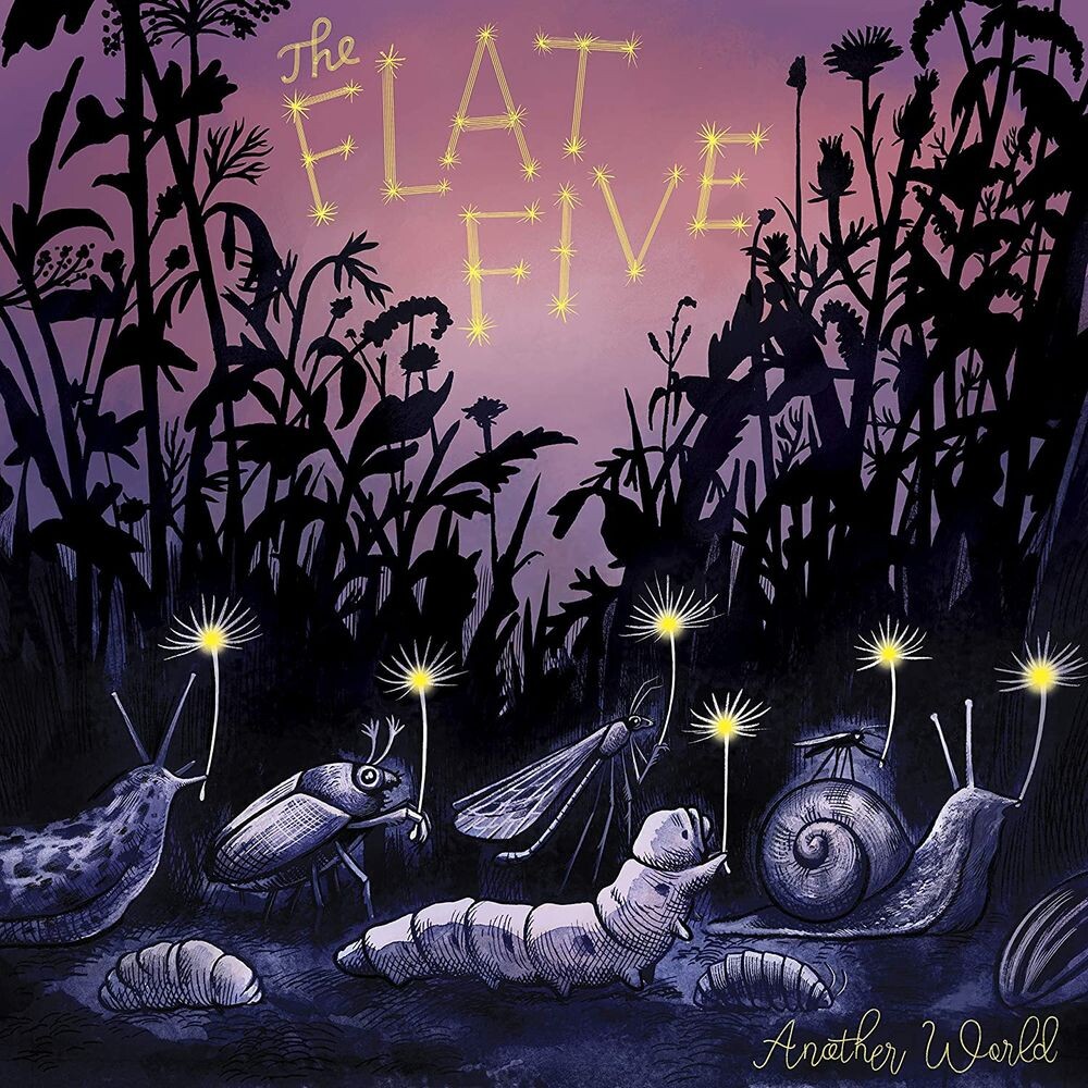 

Виниловая пластинка LP Another World - The Flat Five