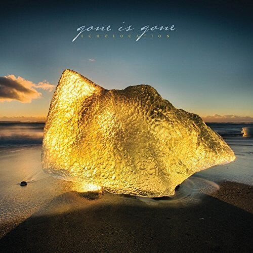 

Виниловая пластинка Gone Is Gone: Echolocation
