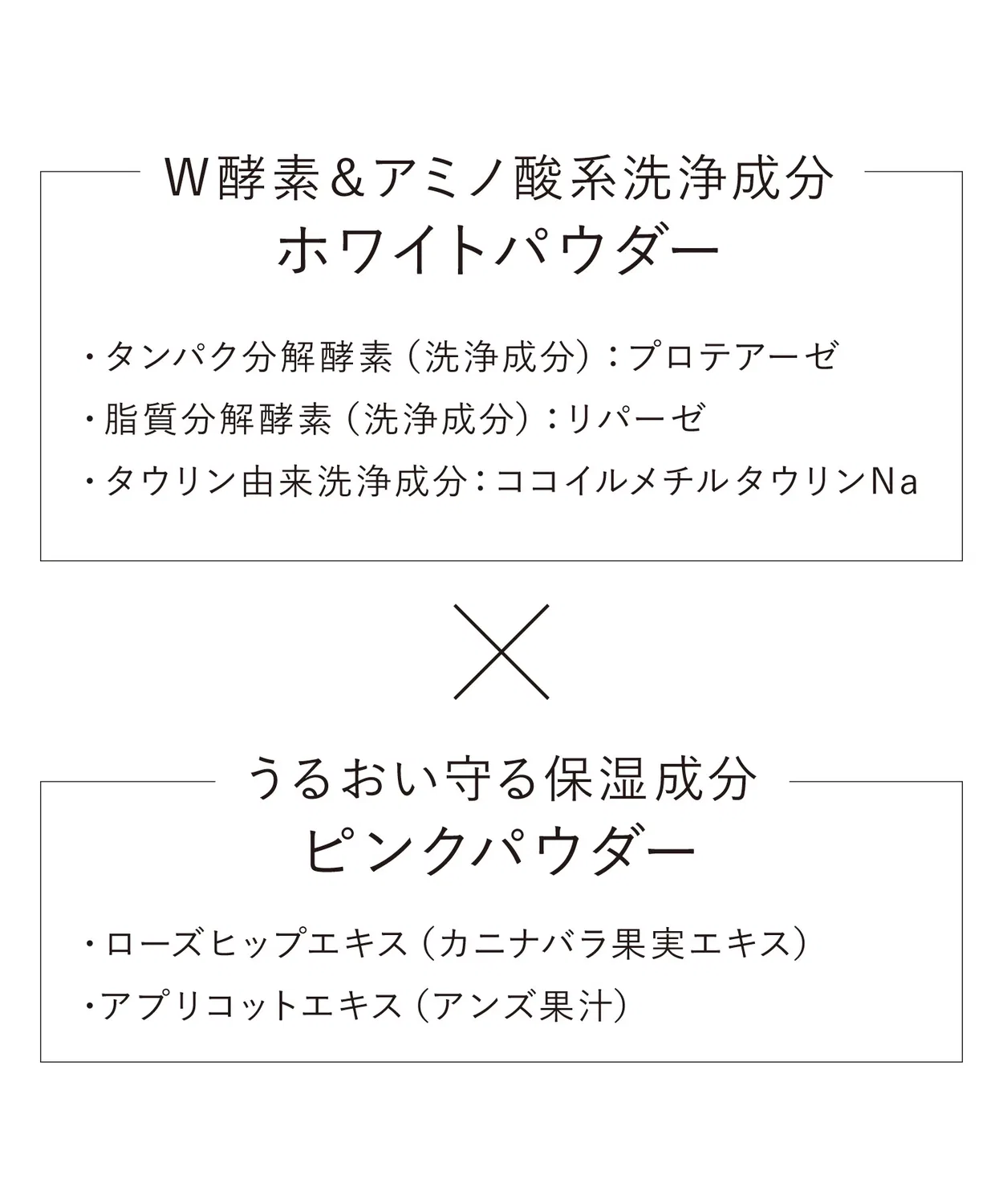 Пилинг Kanebo — Очищающая пудра для умывания Clarifying Powder Wash — фото 3