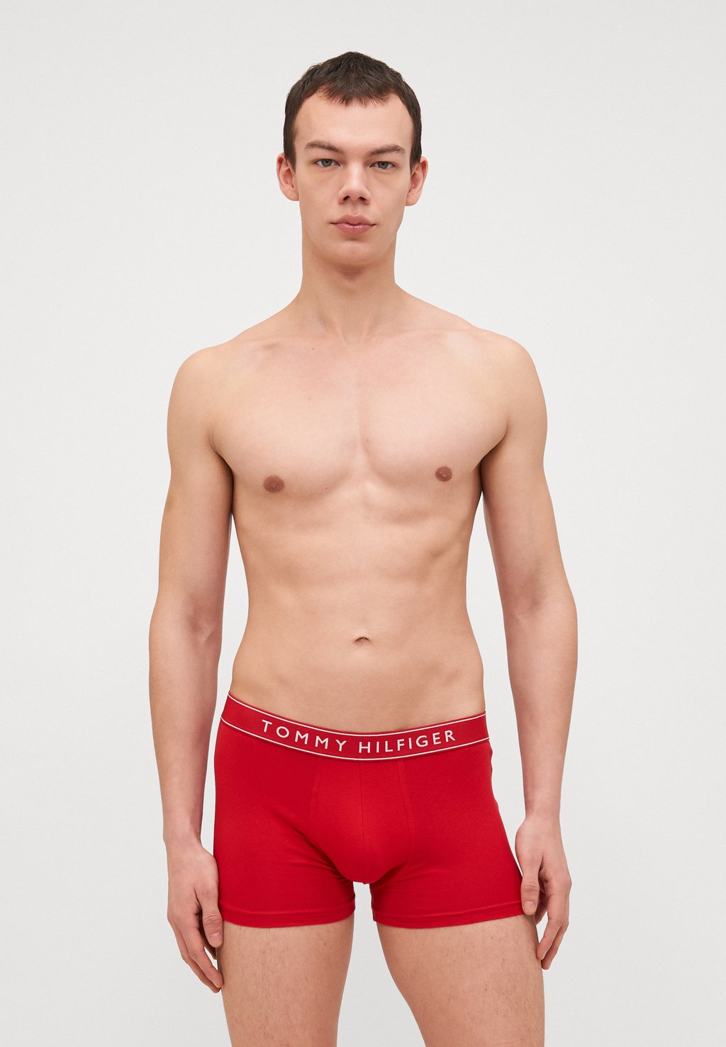 

Брюки EVERYDAY ESSENTIALS 3 PACK Tommy Hilfiger, темно-серый