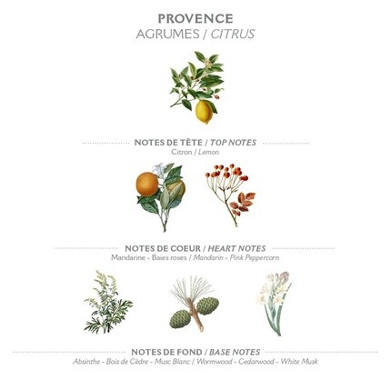 Туалетная вода для женщин Provence 50 мл - вневременной аромат из Франции, Panier Des Sens — фото 2