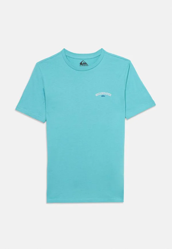 Городская футболка унисекс с принтом Quiksilver, Aqua/Solid