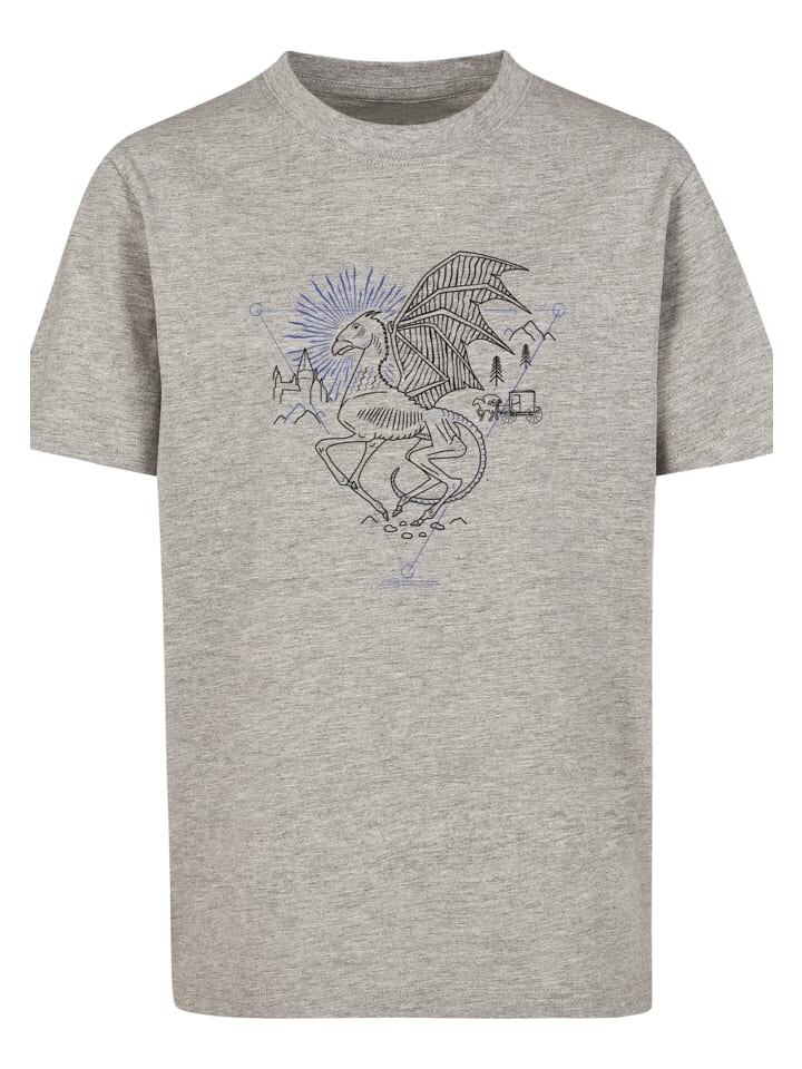 

Футболка F4NT4STIC Harry Potter Thestral Line Art, пестрый серый