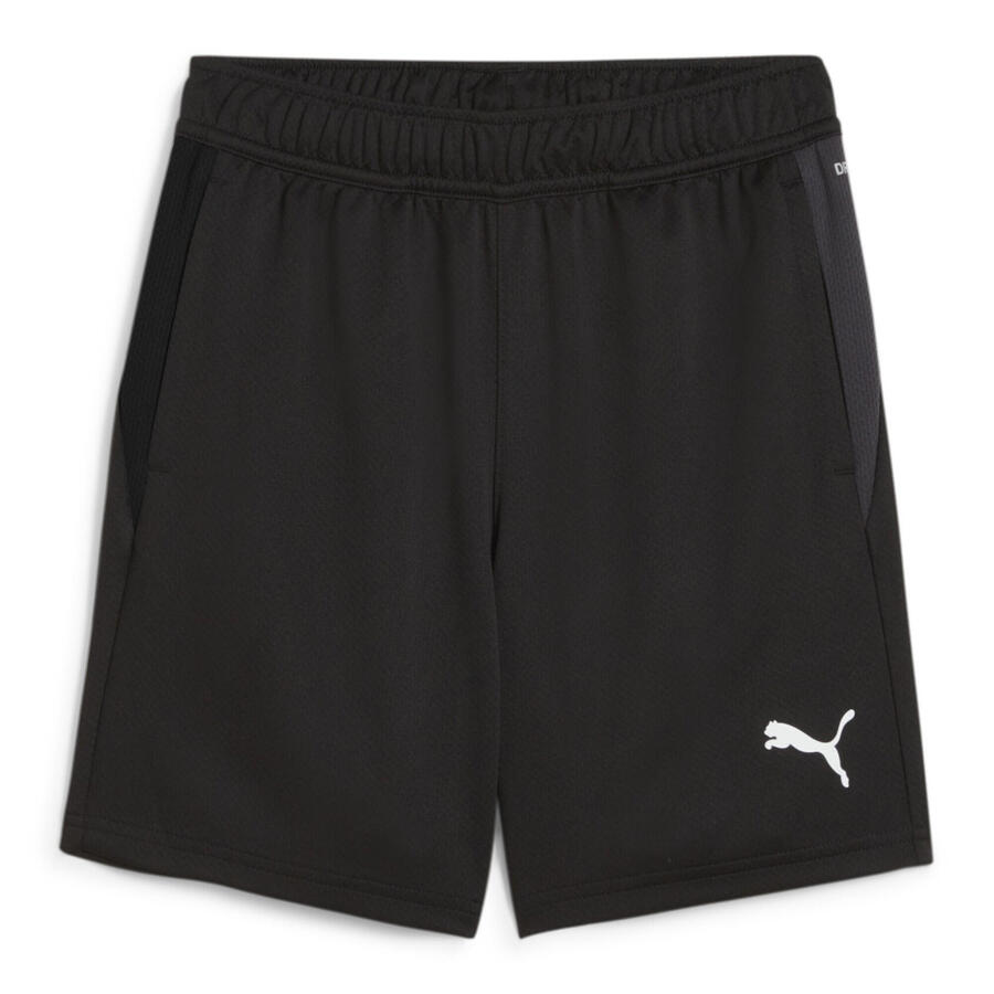 

Детские шорты Puma teamGOAL Training Short Jr 658644