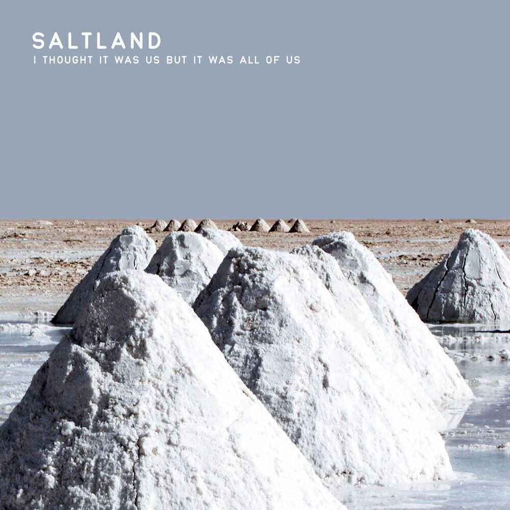 

Виниловая пластинка LP I Thought It Was Us But It Was All Of Us - Saltland