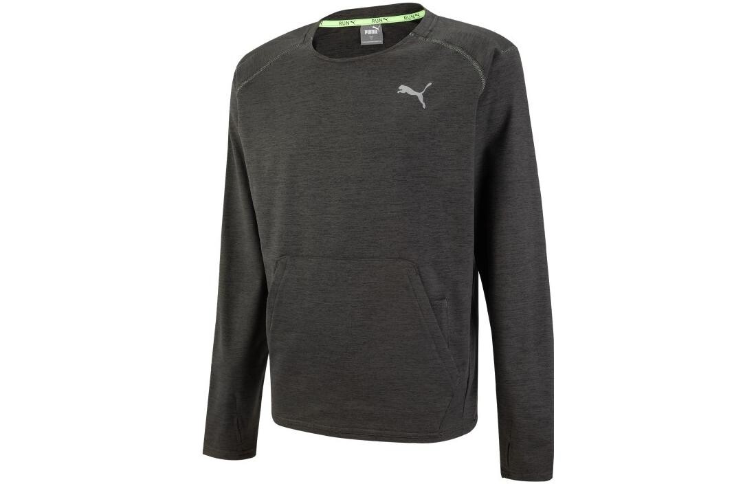 

Мужская толстовка Puma, цвет Black/Gray