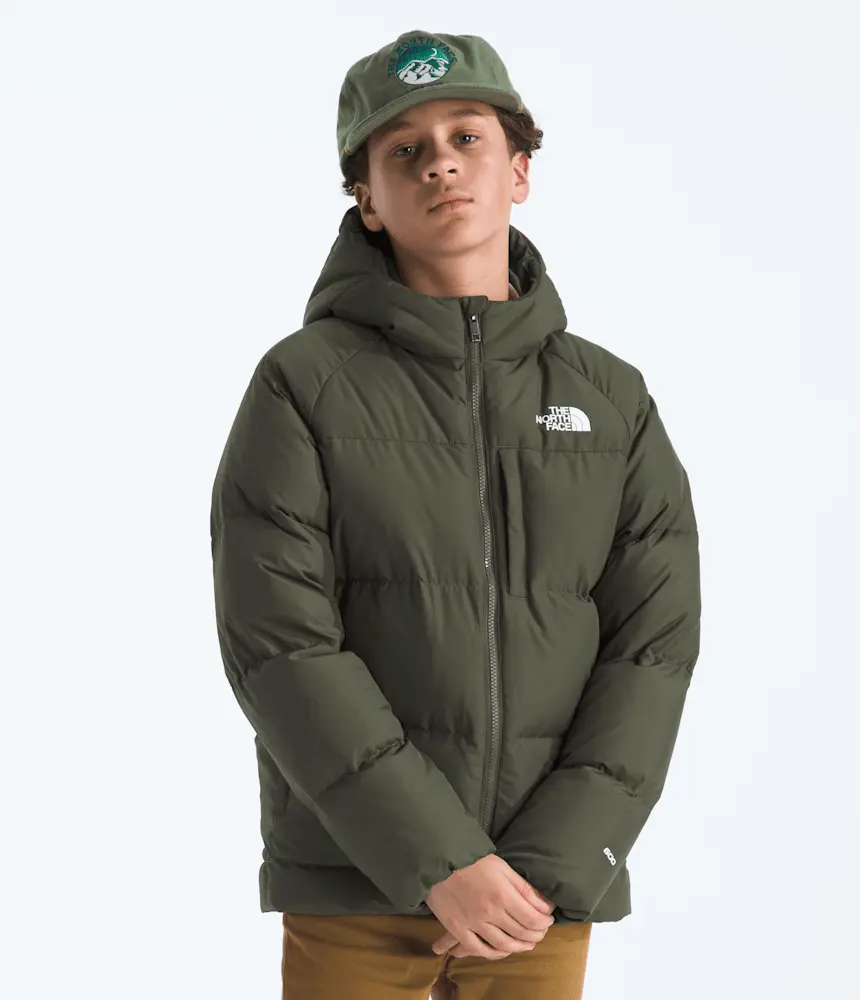 

Куртка с капюшоном North Down для мальчиков The North Face, New Taupe Green