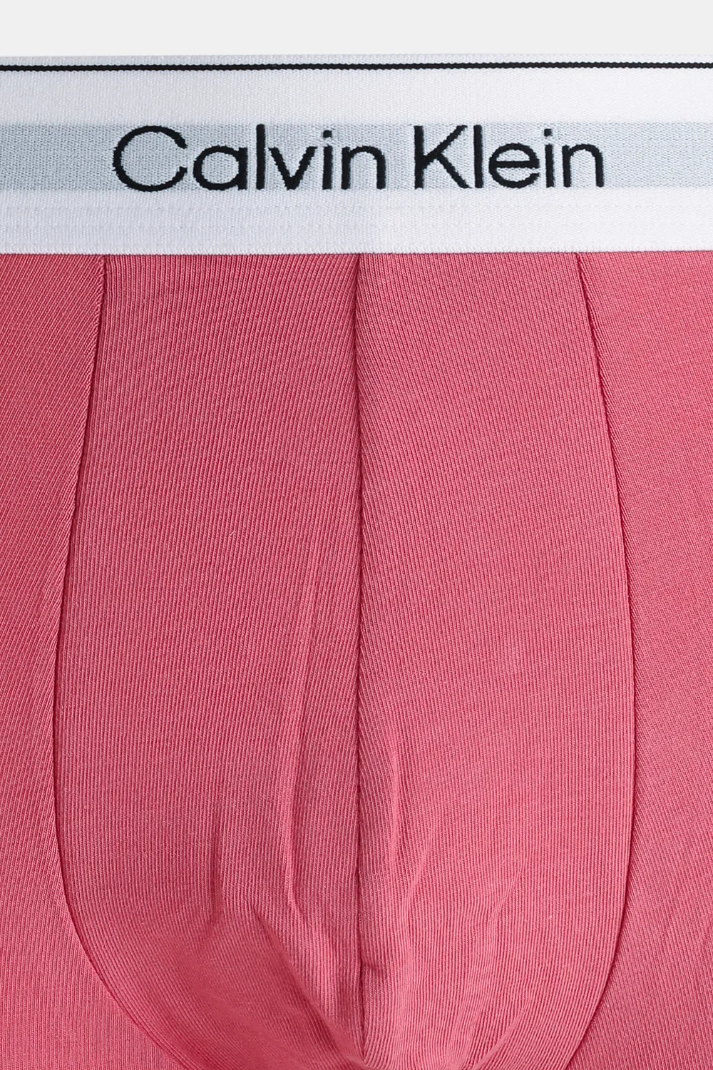 Трусы, 2 шт., Calvin Klein, синий/ярко-розовый — фото 4
